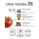 Семена Томат 
