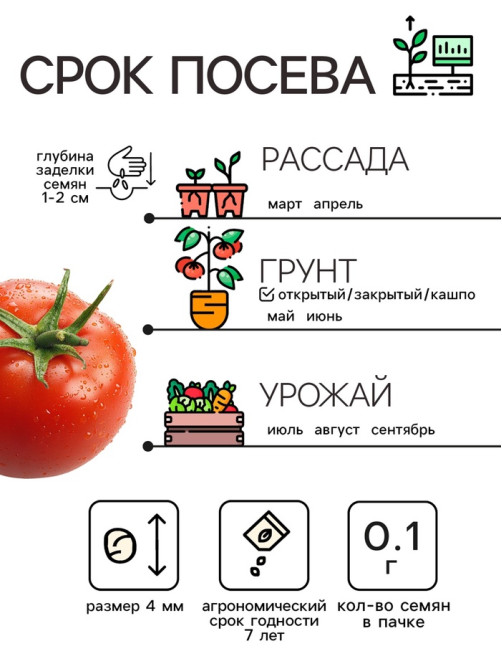 Семена Томат 