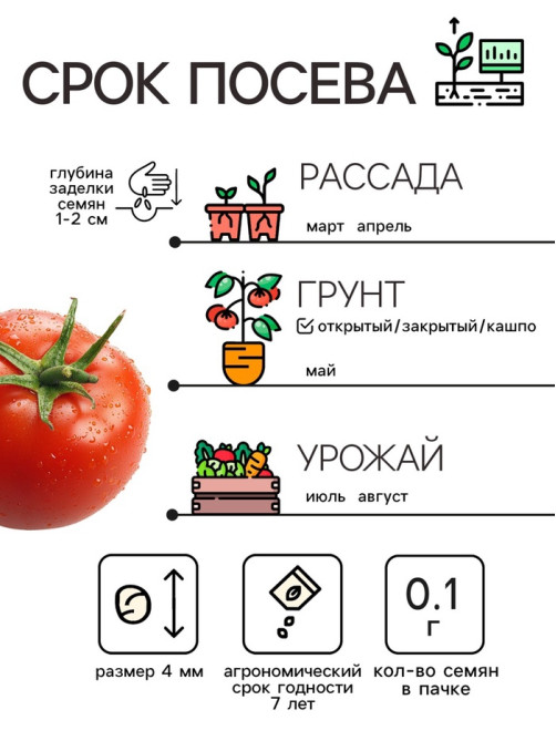 Семена Томат 