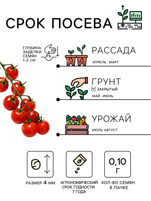 Семена Томат комнатный «Минибел», 0.1 г, «Рецепты дедушки Никиты»