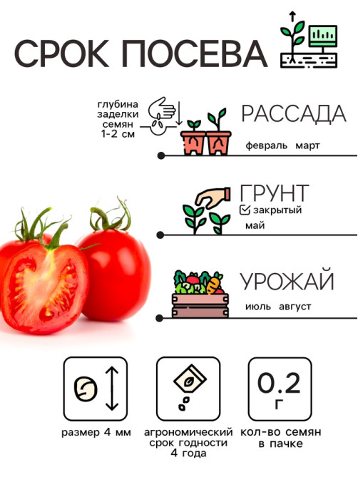 Семена Томат 