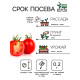 Семена Томат 