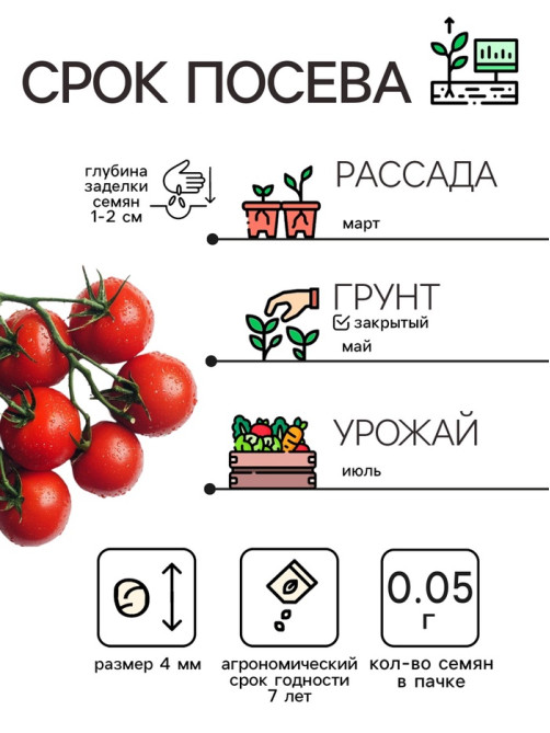 Семена Томат черри 