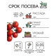 Семена Томат черри 