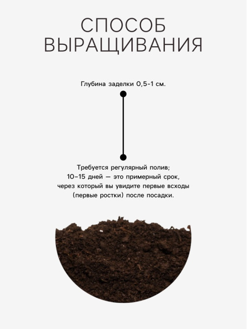 Семена Трава для кошек, 10 г, «Рецепты дедушки Никиты»