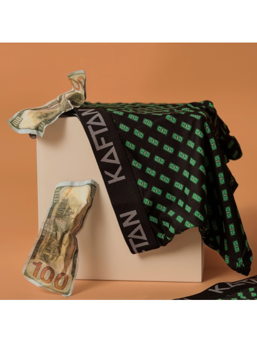 Набор мужских трусов KAFTAN Be Rich, 2 шт., размер 46