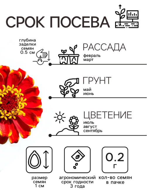 Семена цветов Цинния 