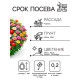 Семена цветов Цинния «Дюймовочка», 0.2 г, «Рецепты дедушки Никиты»