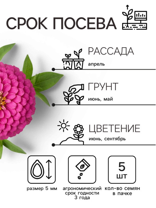 Семена цветов Цинния «Лилипут» смесь, 0.2 г, «Рецепты дедушки Никиты»