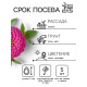 Семена цветов Цинния «Лилипут» смесь, 0.2 г, «Рецепты дедушки Никиты»