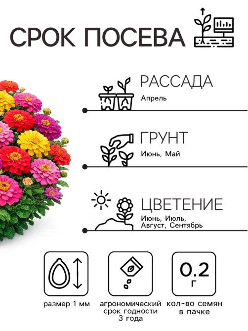 Семена цветов Цинния «Калифорнийские гиганты», смесь, 0.2 г, «Рецепты дедушки Никиты»