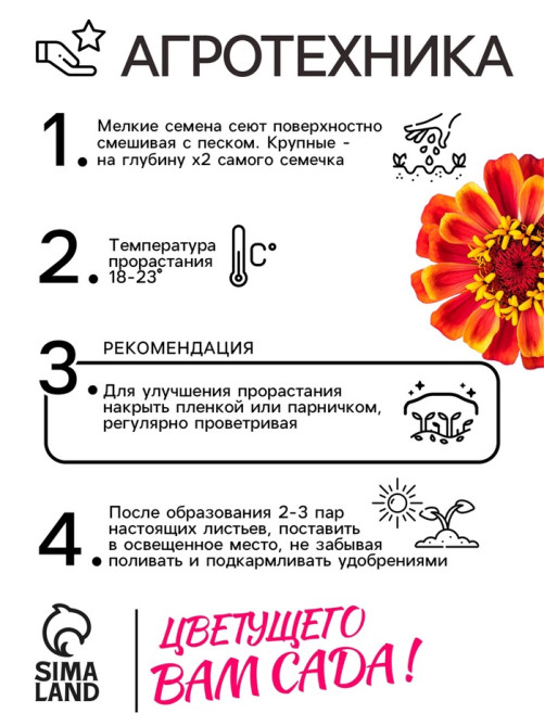 Семена цветов Цинния 