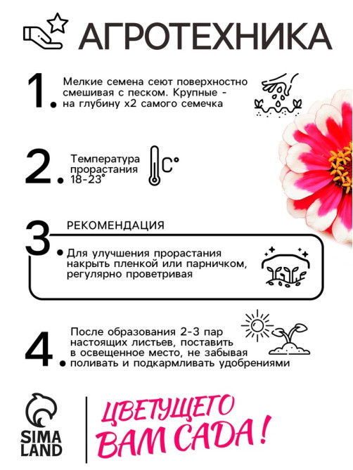 Семена цветов Цинния «Лилипут» смесь, 0.2 г, «Рецепты дедушки Никиты»