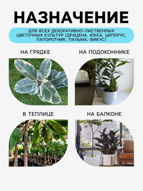 Грунт для всех видов декоративно-лиственных «Рецепты Дедушки Никиты», 5 л