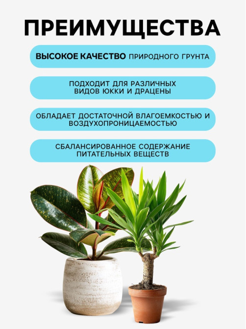 Грунт для всех видов декоративно-лиственных «Рецепты Дедушки Никиты», 5 л