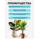 Грунт для всех видов декоративно-лиственных «Рецепты Дедушки Никиты», 5 л