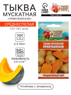 Семена Тыква мускатная 