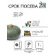 Семена Тыква «Мускатная Прованская», 1 г, «Рецепты дедушки Никиты»