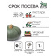 Семена Тыква мускатная 