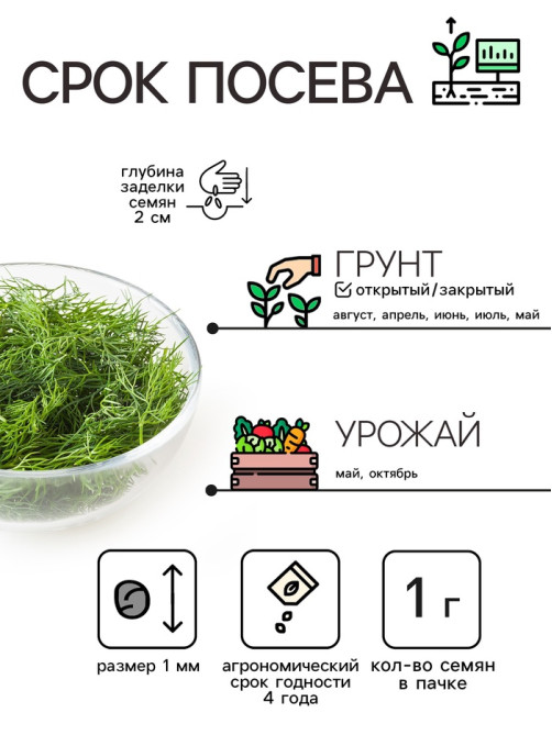Семена Укроп «Обильнолистный», 2 г, «Рецепты дедушки Никиты»