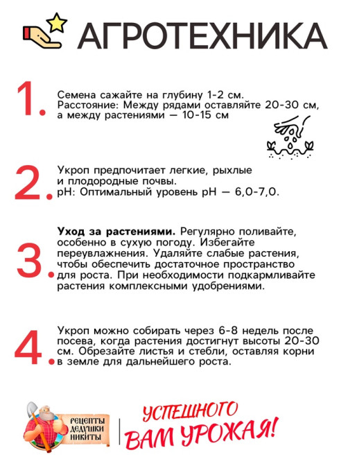 Семена Укроп «Крокодил», 2 г, «Рецепты дедушки Никиты»