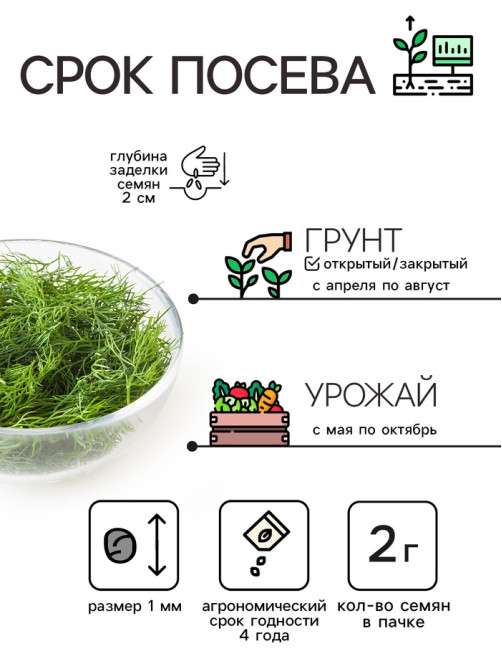 Семена Укроп «Грибовский», 2 г, «Рецепты дедушки Никиты»