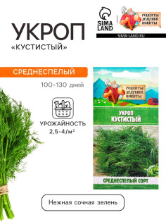 Семена Укроп «Кустистый», 2 г, «Рецепты дедушки Никиты»
