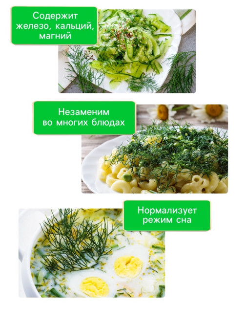 Семена Укроп 