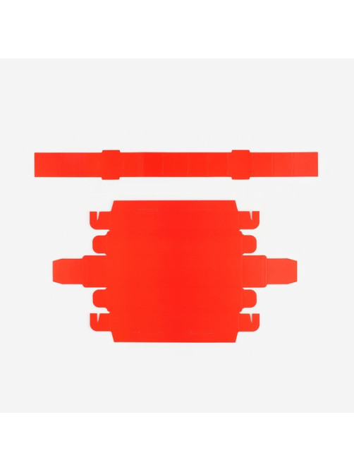 Коробка для конфет, кондитерская упаковка, 5 ячеек, «Новогодняя ботаника», 5×21×3 см