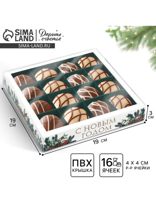 Коробка под 16 конфет с ячейками «Новогодняя ботаника», 19×19×3 см