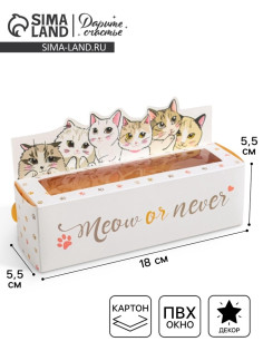 Коробка для макарун кондитерская, упаковка «Meow or never», 18 х 5,5 х 5,5 см