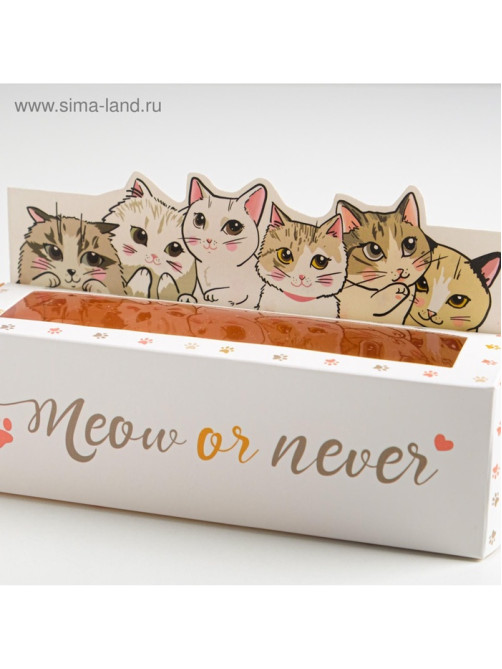 Коробка для макарун кондитерская, упаковка «Meow or never», 18 х 5,5 х 5,5 см