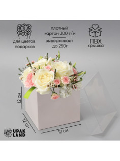 Коробка для цветов с PVC крышкой, 12×12×12 см, белая