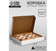 Коробка для пирога и пиццы, белая, 45×33×6 см