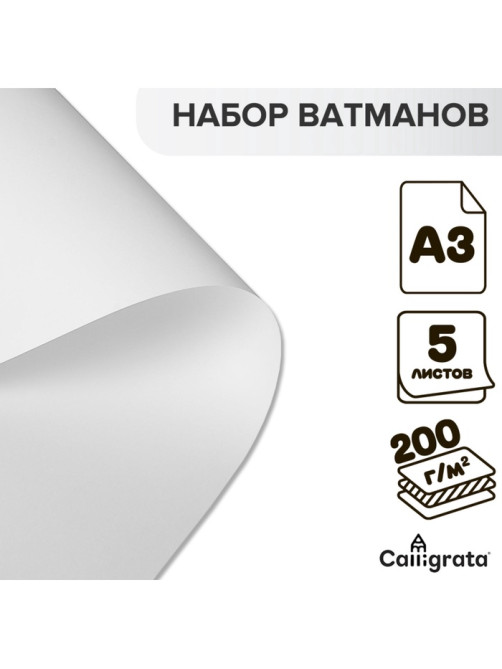 Набор ватманов чертёжных А3, 200 г/м², 5 листов