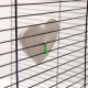 Минеральный камень для птиц «Пижон», форма сердца, с углем, 60 г