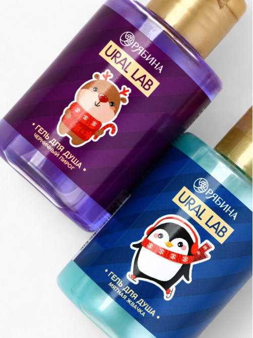 Новогодний подарочный набор косметики Gift for you: гель для душа 2 шт. × 100 мл, мочалка для тела, URAL LAB