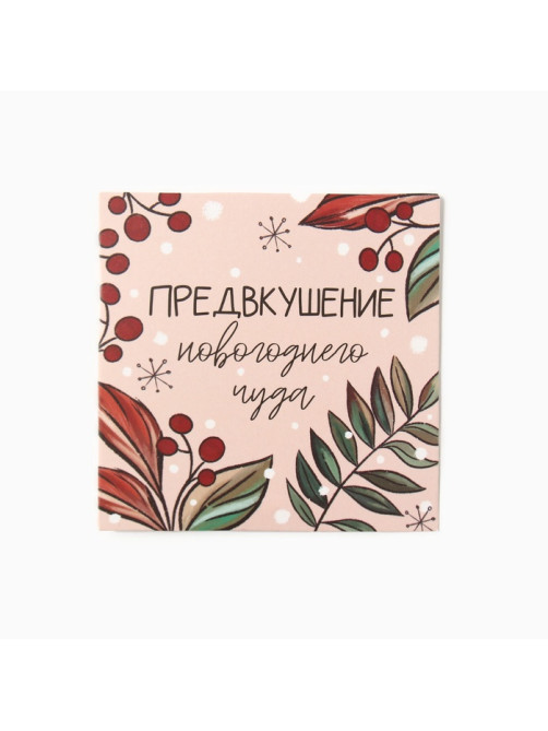 Набор новогодний подарочный «Этель. Бельчонок», 6 предметов: полотенце 30×60 см, маска для сна, резинка