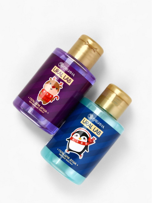 Новогодний подарочный набор косметики Gift for you: гель для душа 2 шт. × 100 мл, мочалка для тела, URAL LAB