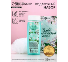 Подарочный набор «Самой потрясающей тебе», гель для душа 250 мл и мочалка для тела, аромат яблока, Чистое счастье
