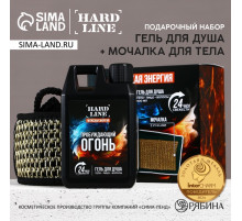 Подарочный набор косметики «Мужская энергия», гель для душа во флаконе канистры 300 мл и мочалка для тела, аромат древесный с пряными нотами