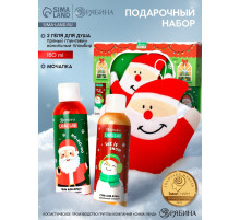 Подарочный набор новогодний «Дед Мороз», гель для душа 2 шт. × 150 мл, мочалка, URAL LAB