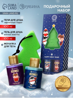 Новогодний подарочный набор косметики Gift for you: гель для душа 2 шт. × 100 мл, мочалка для тела, URAL LAB