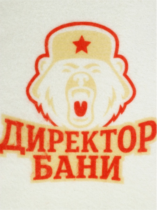 Подарочный набор «Директор бани», непробиваемая кружка для пива 500 мл, шапка банная