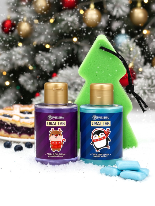 Новогодний подарочный набор косметики Gift for you: гель для душа 2 шт. × 100 мл, мочалка для тела, URAL LAB