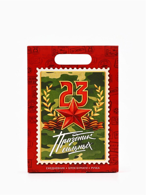 Подарочный набор, ежедневник А5, 80 л, блок бумаги, ручка «С 23 февраля»