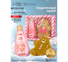 Подарочный набор новогодний: гель для душа и мочалка для тела, аромат малиновая карамель, URAL LAB