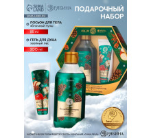 Подарочный набор новогодний «Волшебные истории», гель для душа 300 мл и лосьон для тела 85 мл, URAL LAB