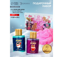 Подарочный набор новогодний, косметичка, гель для душа 2 шт. × 100 мл и мочалка для тела, URAL LAB