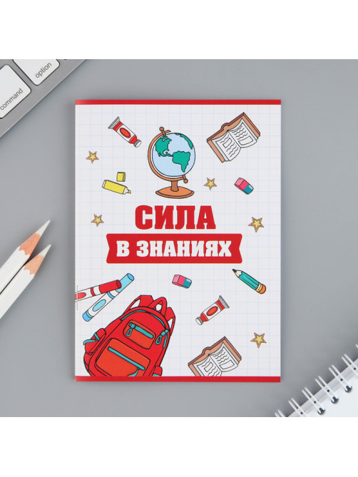 Подарочный набор на выпускной «Сила в знаниях», блокнот А6, 16 л., диплом, наклейки